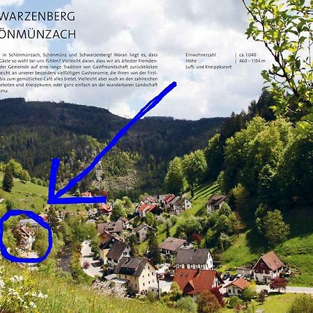 Adieu Alltag: Pension Oesterle Im Schwarzwald Schonmunzach Kültér fotó