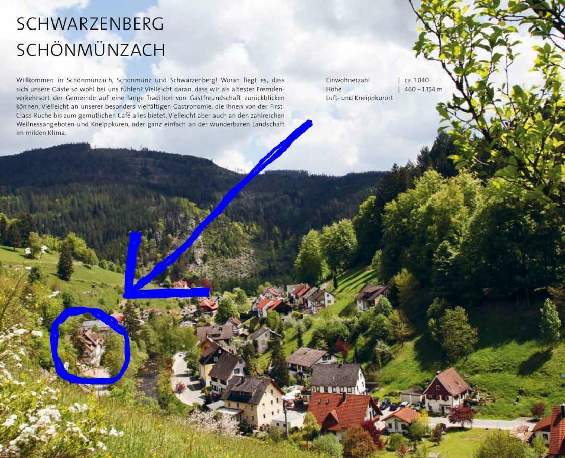 Adieu Alltag: Pension Oesterle Im Schwarzwald Schonmunzach Kültér fotó