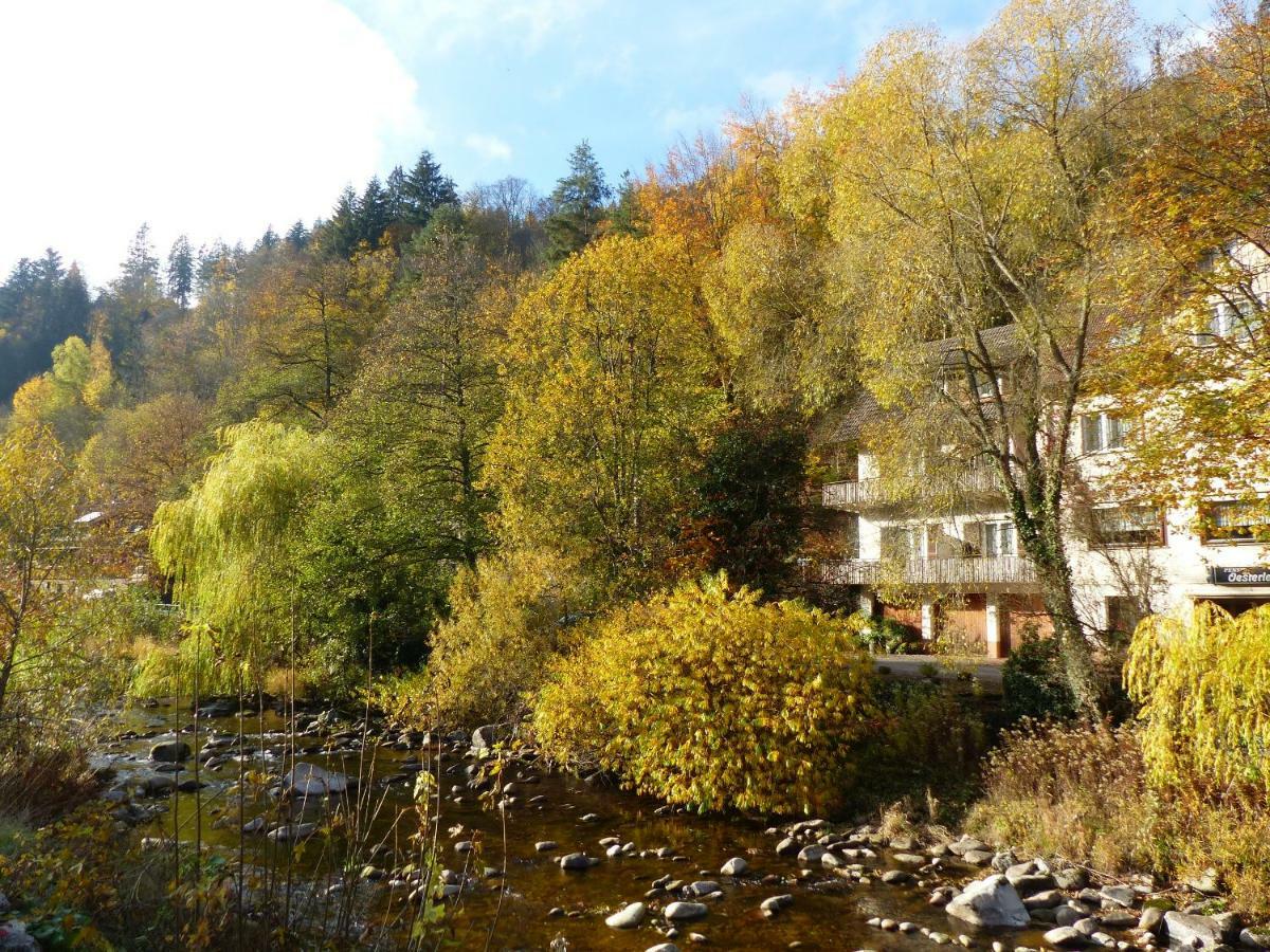 Adieu Alltag: Pension Oesterle Im Schwarzwald Schonmunzach Kültér fotó