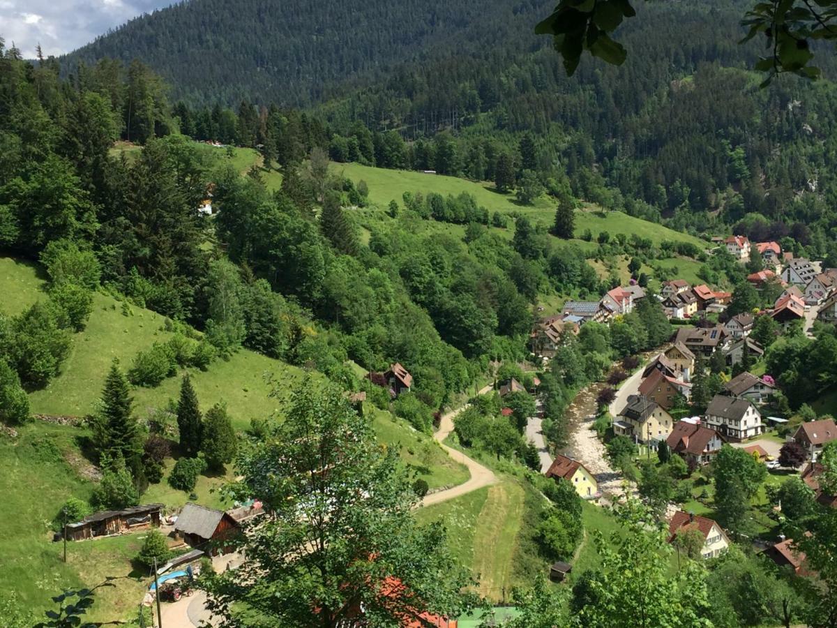 Adieu Alltag: Pension Oesterle Im Schwarzwald Schonmunzach Kültér fotó